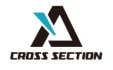 クロスセクション